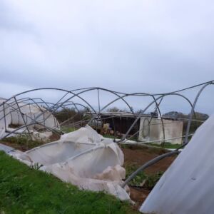 Ciaran à Dolmen & Potager